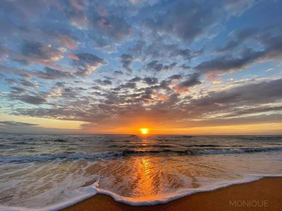 The Beach House At Si Como No Inn Flagler Beach Exteriör bild